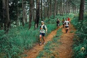 BIB: 
                            <button type="button" onclick="openModal(25656790)" class="btn btn-primary btn-sm float-right btn-popup" data-toggle="modal" data-target=".modal-high-quality">
                        <i class="fas fa-shopping-cart"></i> Add to Cart
                    </button>
                                            <button type="button" onclick="isThisMe(25656790, true)" class="btn btn-success btn-sm float-right btn-popup btn-isme hidden" data-toggle="tooltip" data-placement="bottom" title="นี่คือรูปของคุณใช่ไหม คลิกที่นี่เพื่อเอาเข้าอัลบั้ม">
                        <i class="fas fa-plus"></i> Add to album
                    </button>
                    <button type="button" onclick="isThisMe(25656790, false)" class="btn btn-warning btn-sm float-right btn-popup btn-isnotme hidden">
                        <i class="fas fa-ban"></i> Remove from album
                    </button>